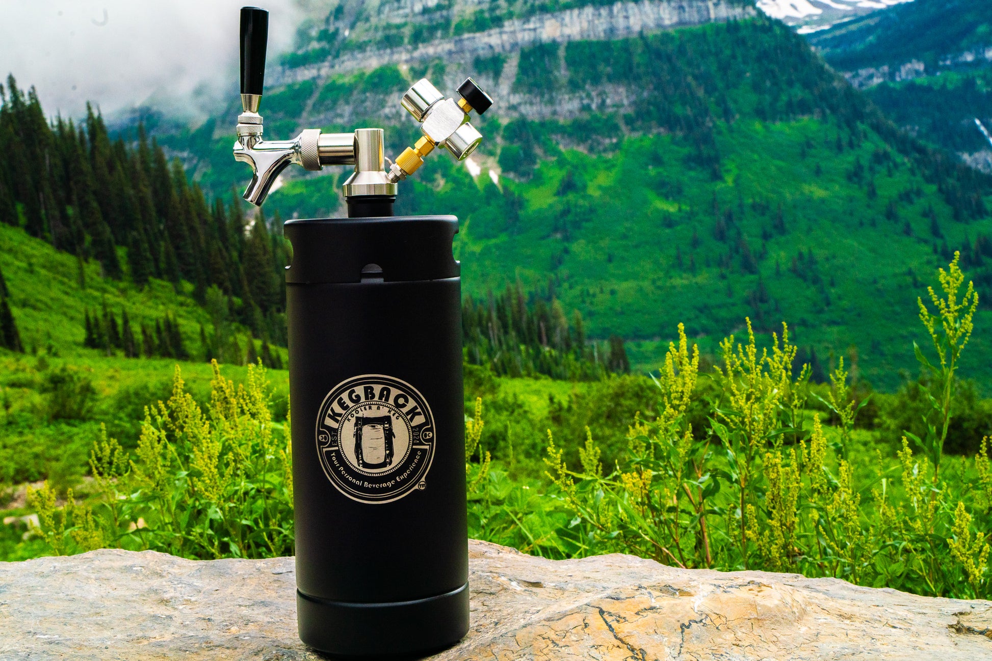 The Kegback The Kegback